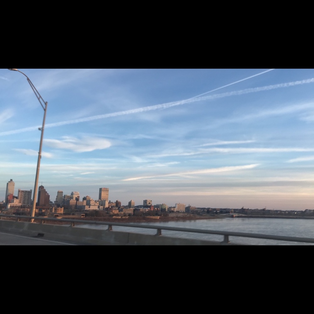 Meet your Posher, Maddi